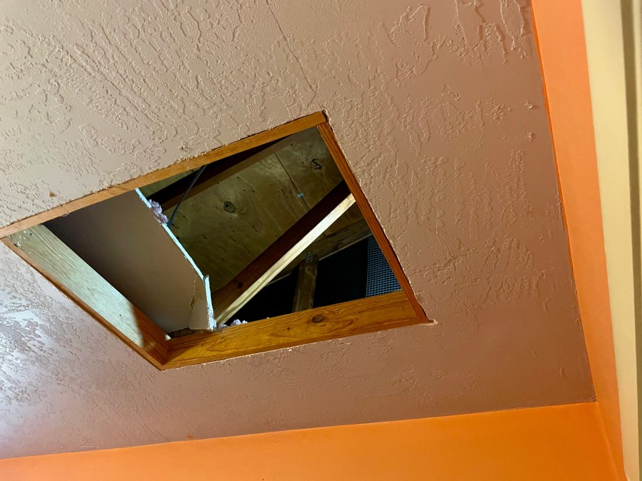 Open attic access showing roof trusses in Florida home attic