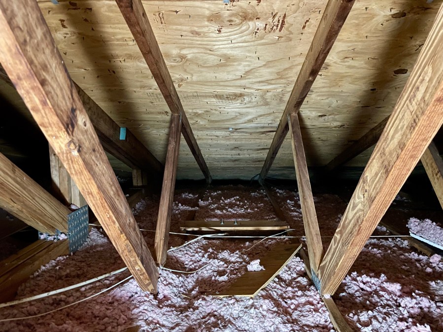 Roof trusses and underside of plywood roof sheathing in attic